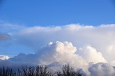 DSC_0002.JPG