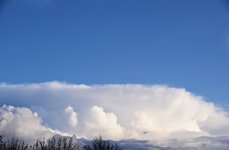DSC_0009.JPG