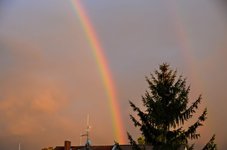 IMG_5340.JPG