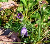 DSC_0074.JPG DSC_0074.JPG