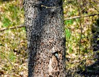 DSC_0049.JPG DSC_0049.JPG