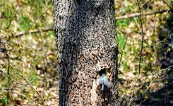 DSC_0048 (1).JPG