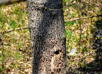 DSC_0060.JPG DSC_0060.JPG
