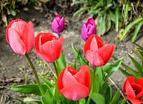 DSC_0014.JPG
