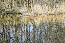 DSC_0105.JPG