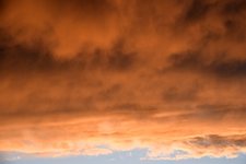 DSC_0011.JPG
