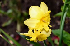 DSC_0066.JPG
