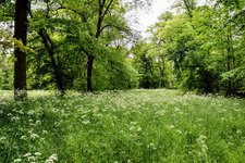DSC_0113.JPG