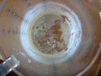 Verkäsung Glasbehälter.jpg Verkäsung Glasbehälter.jpg