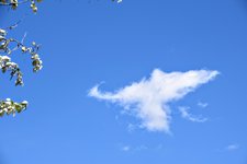 DSC_0169.JPG