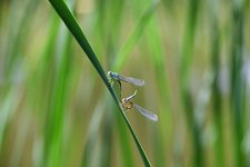 DSC_0145.JPG