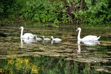 DSC_0047.JPG