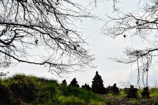 DSC_0084.JPG DSC_0084.JPG