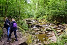 DSC_0017.JPG DSC_0017.JPG