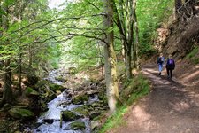 DSC_0067.JPG DSC_0067.JPG