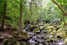 DSC_0099.JPG DSC_0099.JPG