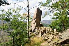 DSC_0212.JPG DSC_0212.JPG