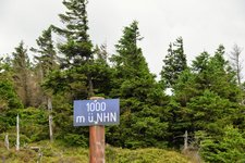 DSC_0267.JPG