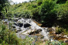 DSC_0345.JPG DSC_0345.JPG