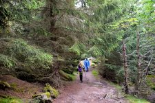 DSC_0299.JPG DSC_0299.JPG