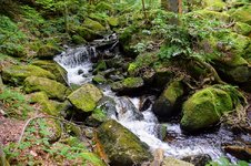 DSC_0106.JPG