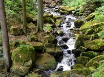 DSC_0093.JPG