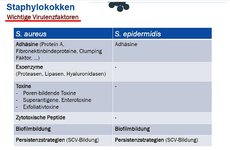 Staphylokokken-Teil-01.jpg Staphylokokken-Teil-01.jpg