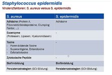 Staphylokokken-Teil-04.jpg Staphylokokken-Teil-04.jpg