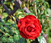 DSC_0015.JPG DSC_0015.JPG