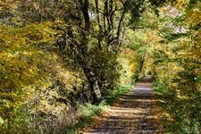 DSC_0019.JPG