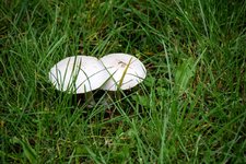 DSC_0001.JPG