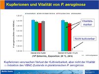 VBNC-3.jpg