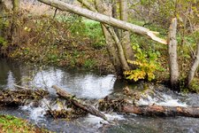 DSC_0162.JPG