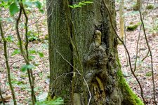 DSC_0109.JPG DSC_0109.JPG