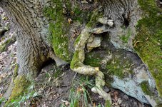 DSC_0633.JPG DSC_0633.JPG