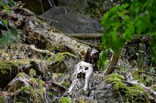 DSC_0775.JPG DSC_0775.JPG