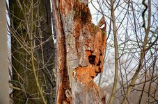 DSC_0169.JPG DSC_0169.JPG