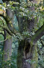 DSC_0084.JPG DSC_0084.JPG