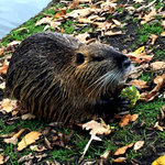 IMG_4186.JPG