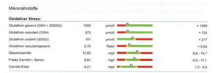 Untersuchung auf Glutathion und Carnitin_ganzimmun.jpg