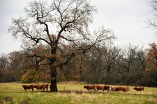 DSC_0025.JPG DSC_0025.JPG