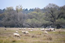 DSC_0205.JPG DSC_0205.JPG