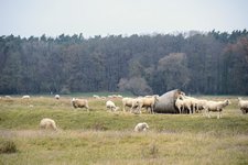 DSC_0212.JPG DSC_0212.JPG