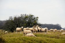 DSC_0220.JPG DSC_0220.JPG