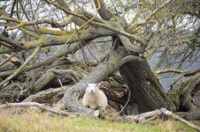 DSC_0014.JPG DSC_0014.JPG