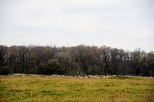 DSC_0021.JPG DSC_0021.JPG