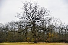 DSC_0048.JPG DSC_0048.JPG