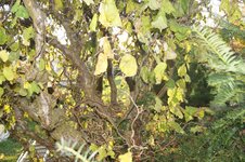 DSC05186-min-min.JPG