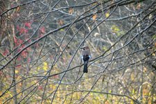 DSC_0176.JPG