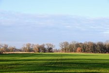 DSC_0203.JPG DSC_0203.JPG
